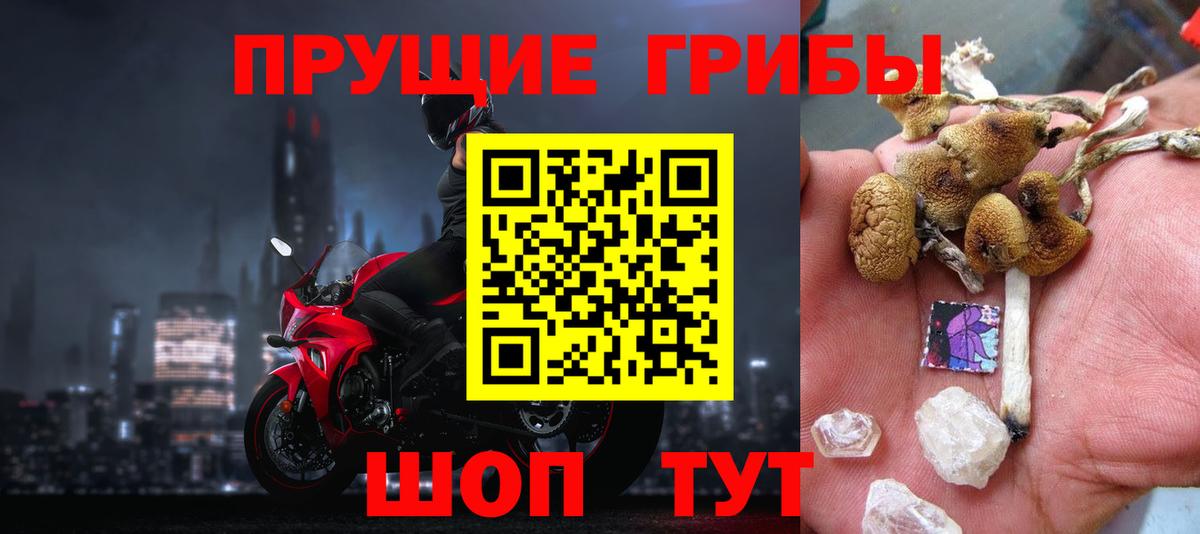 Галлюциногенные грибы мухоморы Тверь
